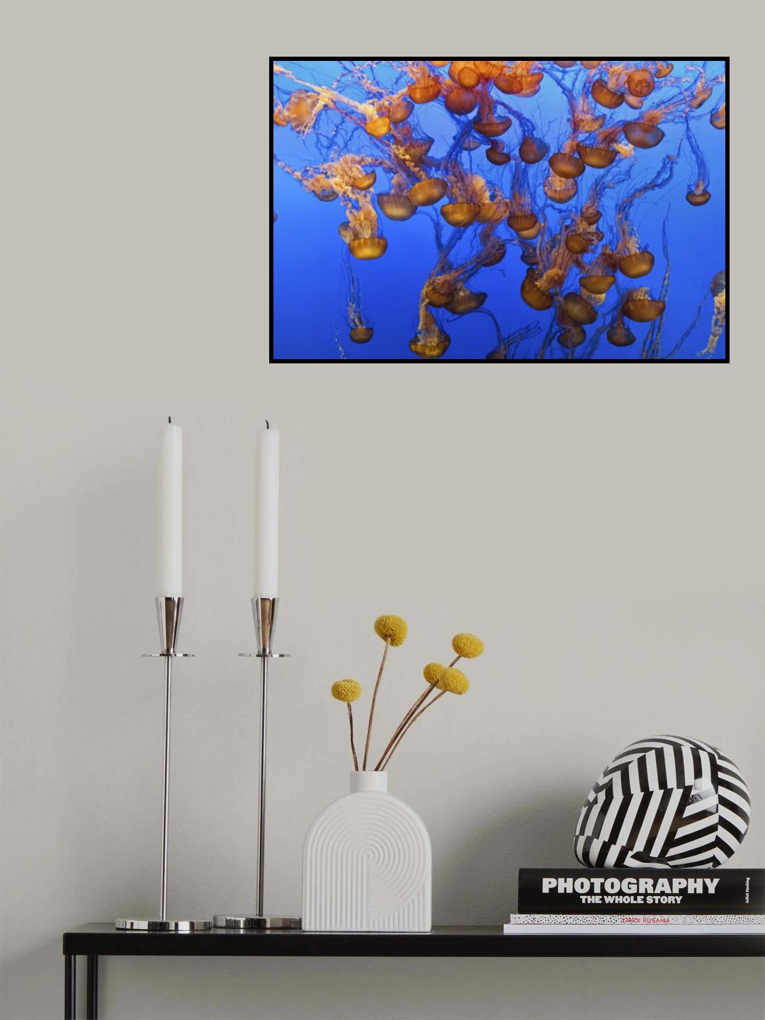 Swarm of Jellyfish Poster och Canvastavla