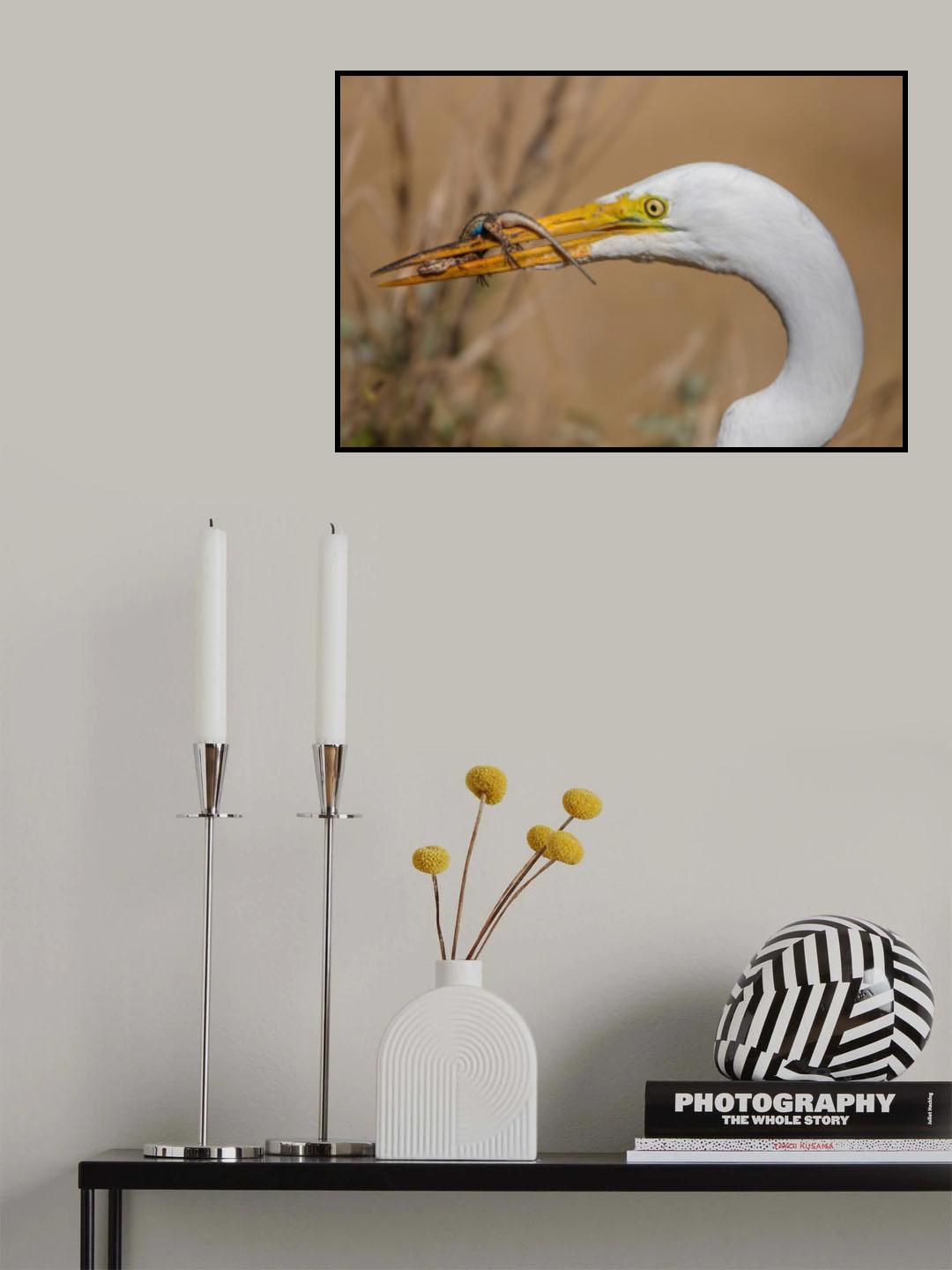 Great Egret and Lizard Poster och Canvastavla