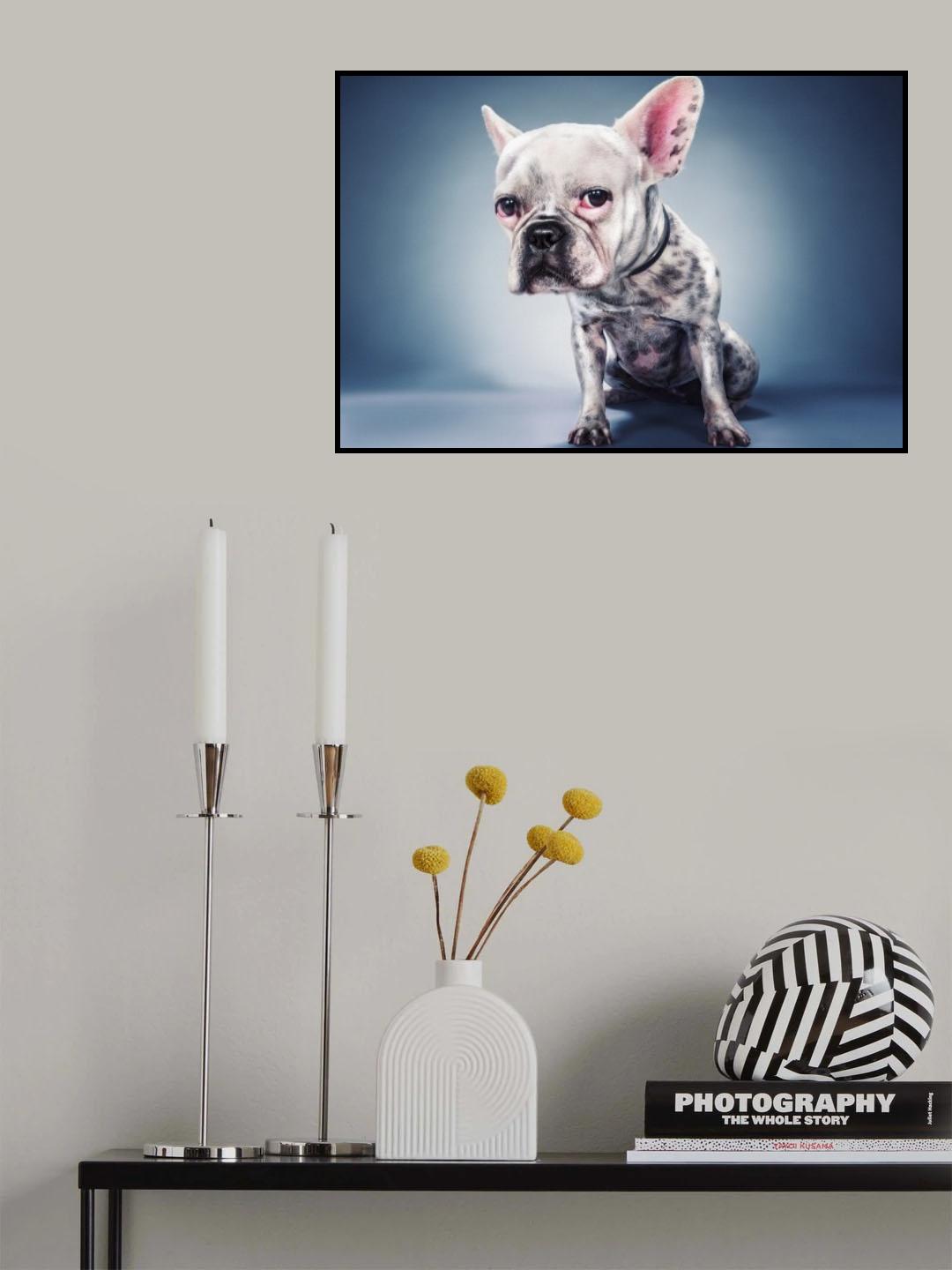 Big Head Project Poster och Canvastavla