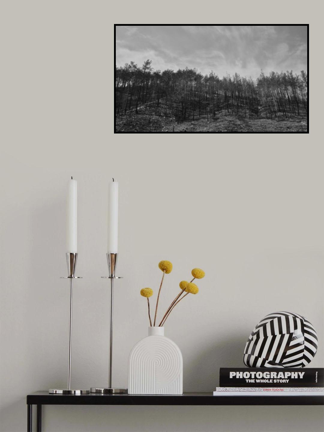 image of a forest after a fire Poster och Canvastavla