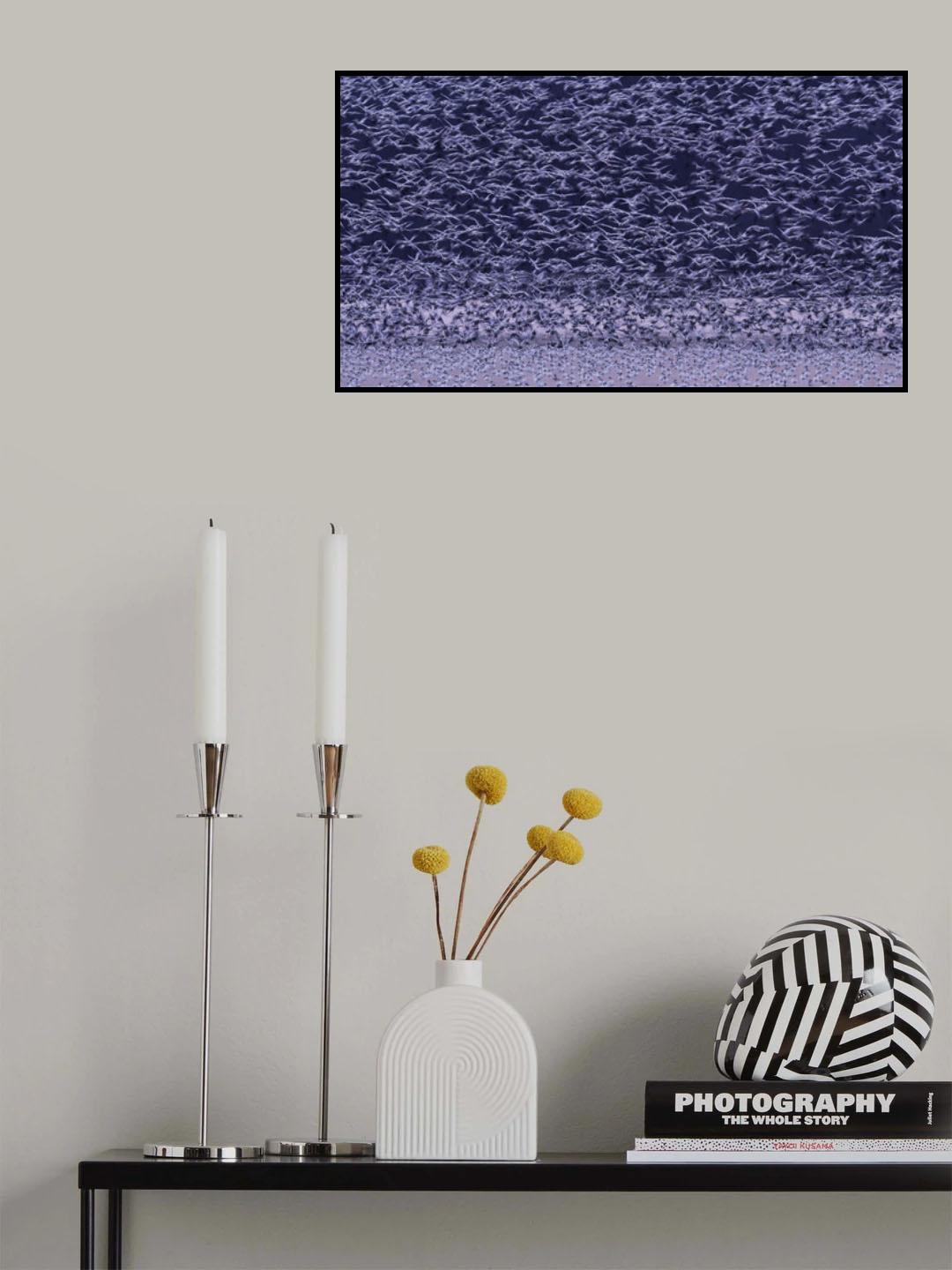 Snow Geese Poster och Canvastavla
