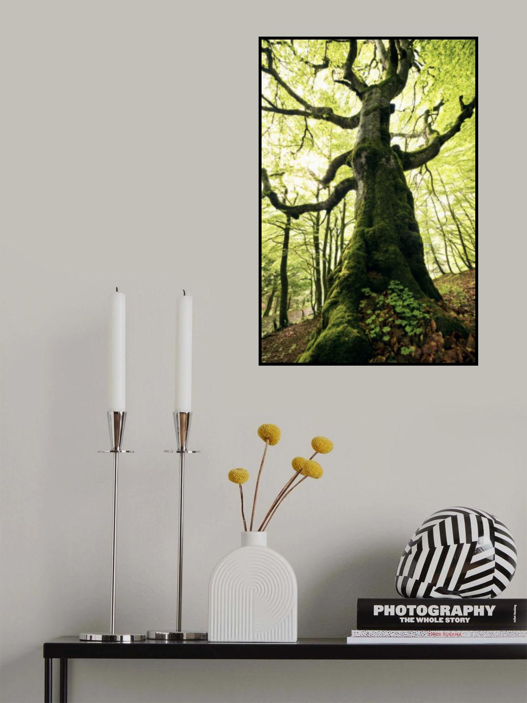 Ent Poster och Canvastavla