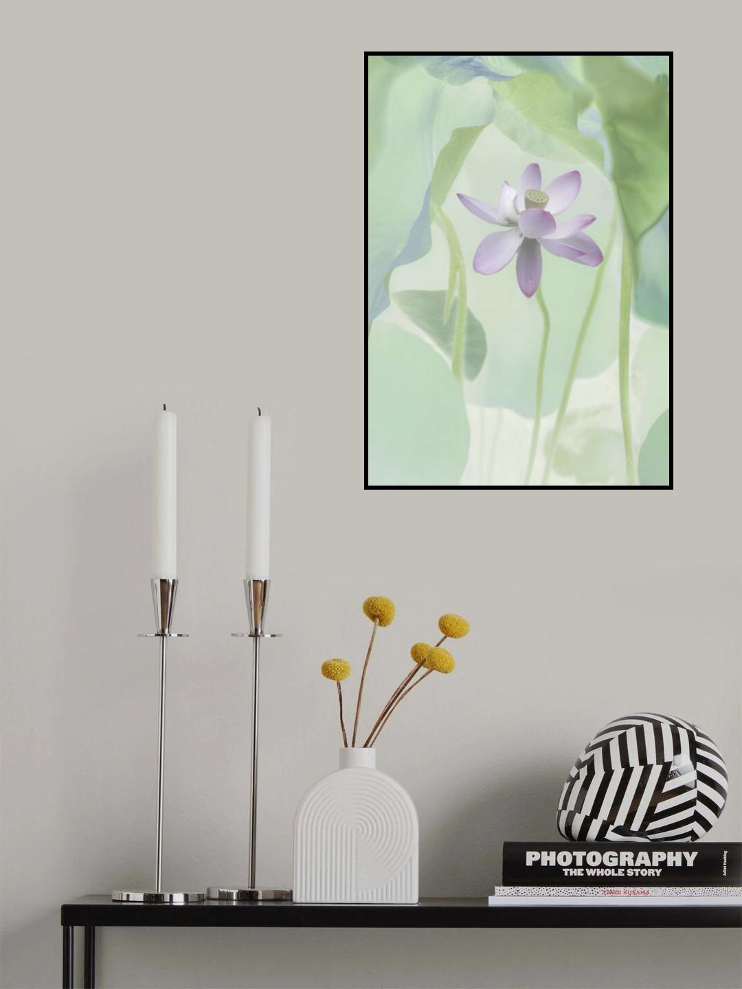 Lotus Flower Poster och Canvastavla