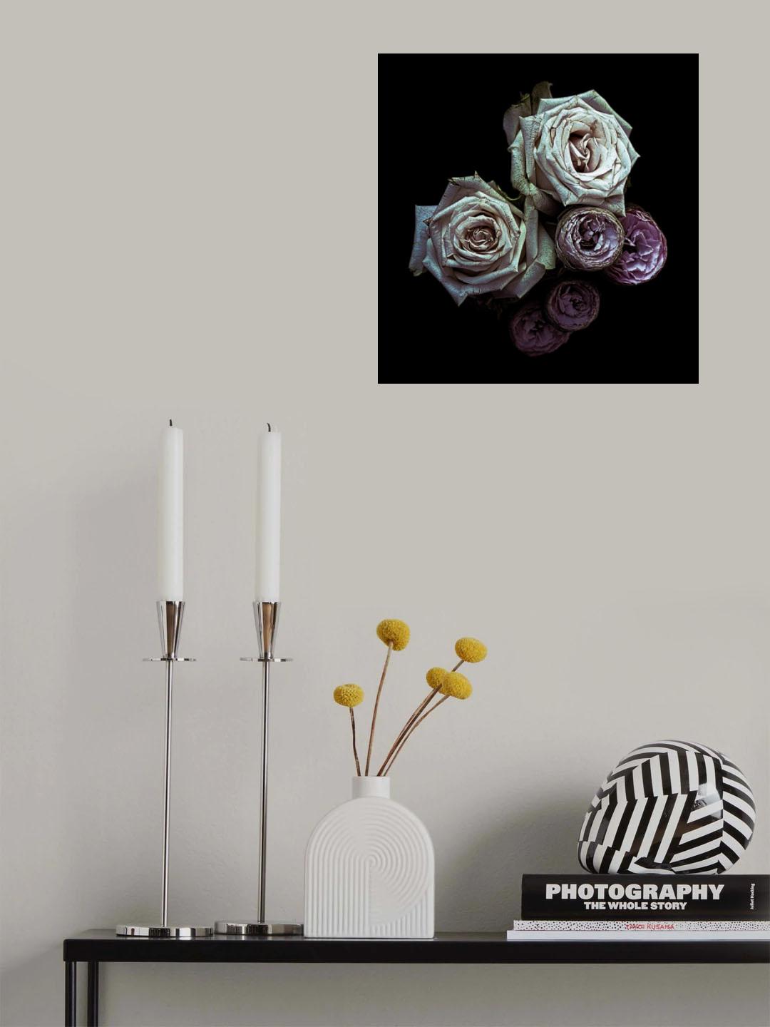 Roses Poster och Canvastavla