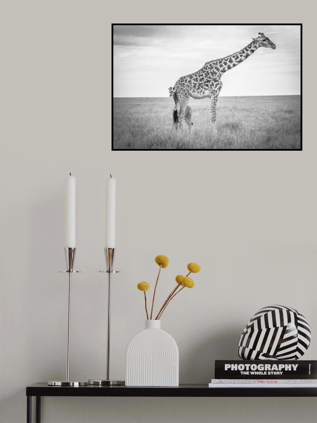 Innocence Poster och Canvastavla