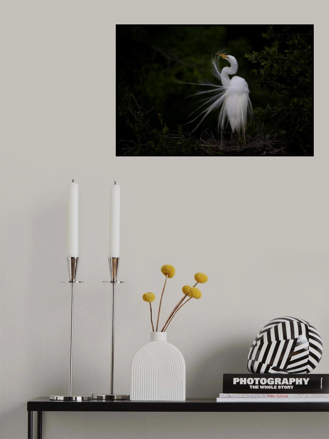 Combing Poster och Canvastavla
