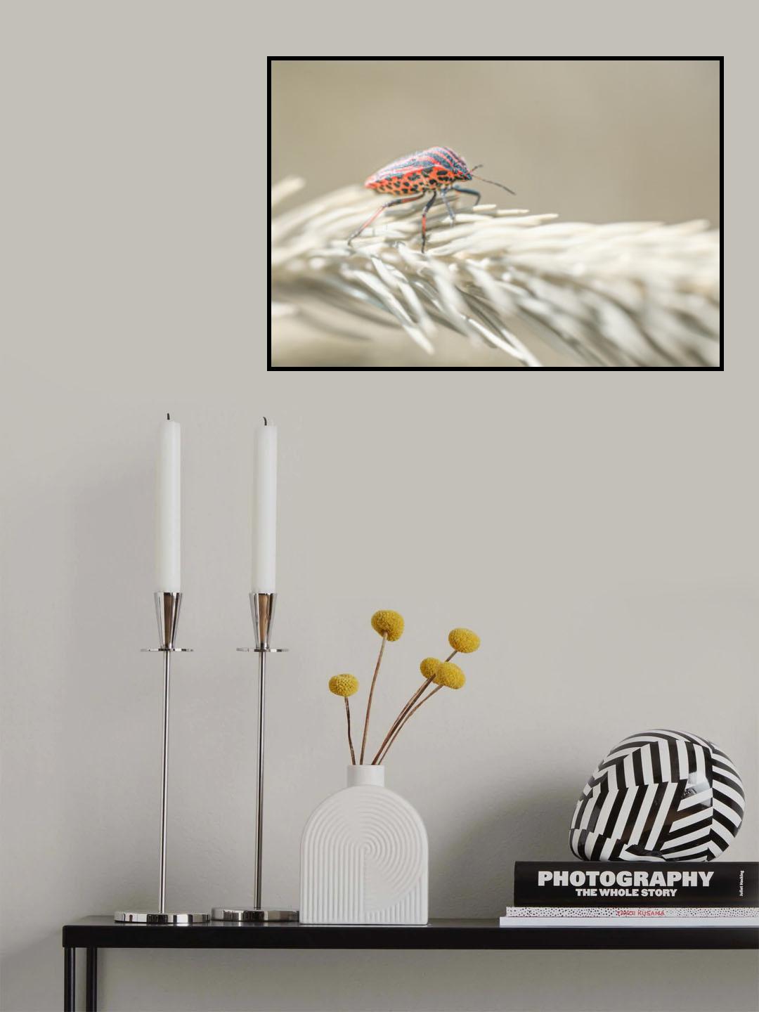 Poster och Canvastavla