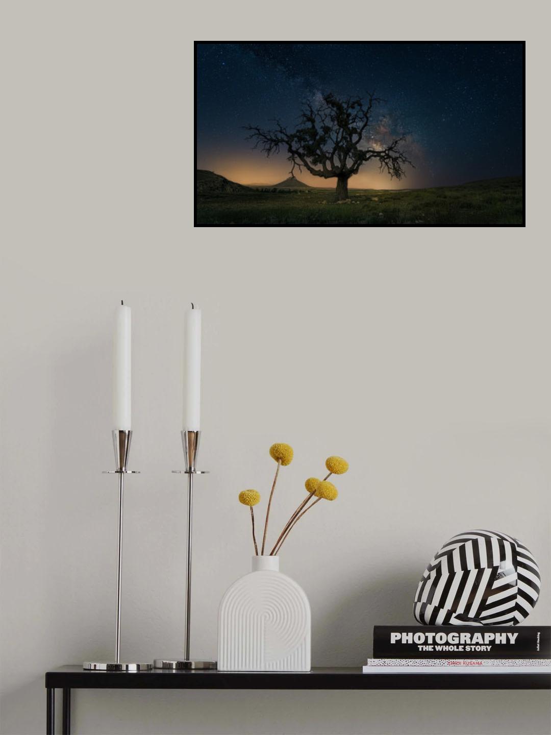 the old tree Poster och Canvastavla