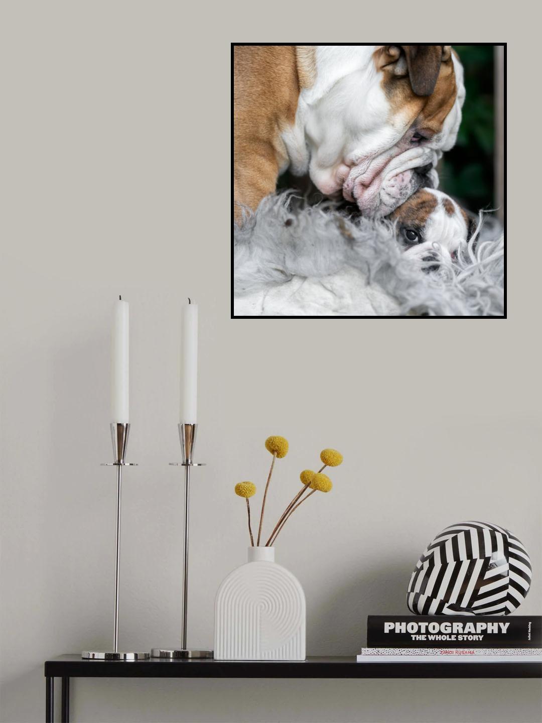 What is up, little one? Poster och Canvastavla