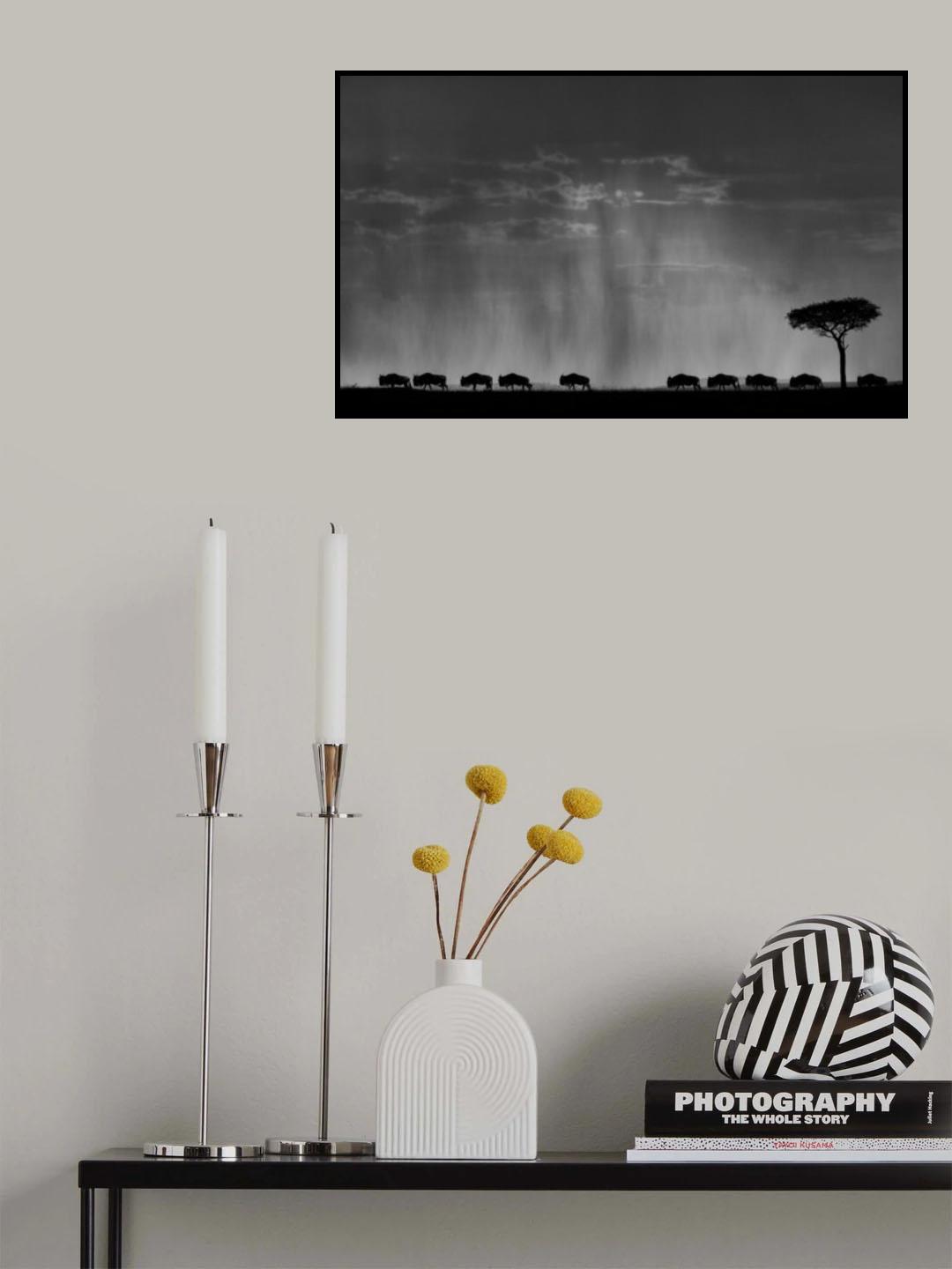 The Migration Poster och Canvastavla