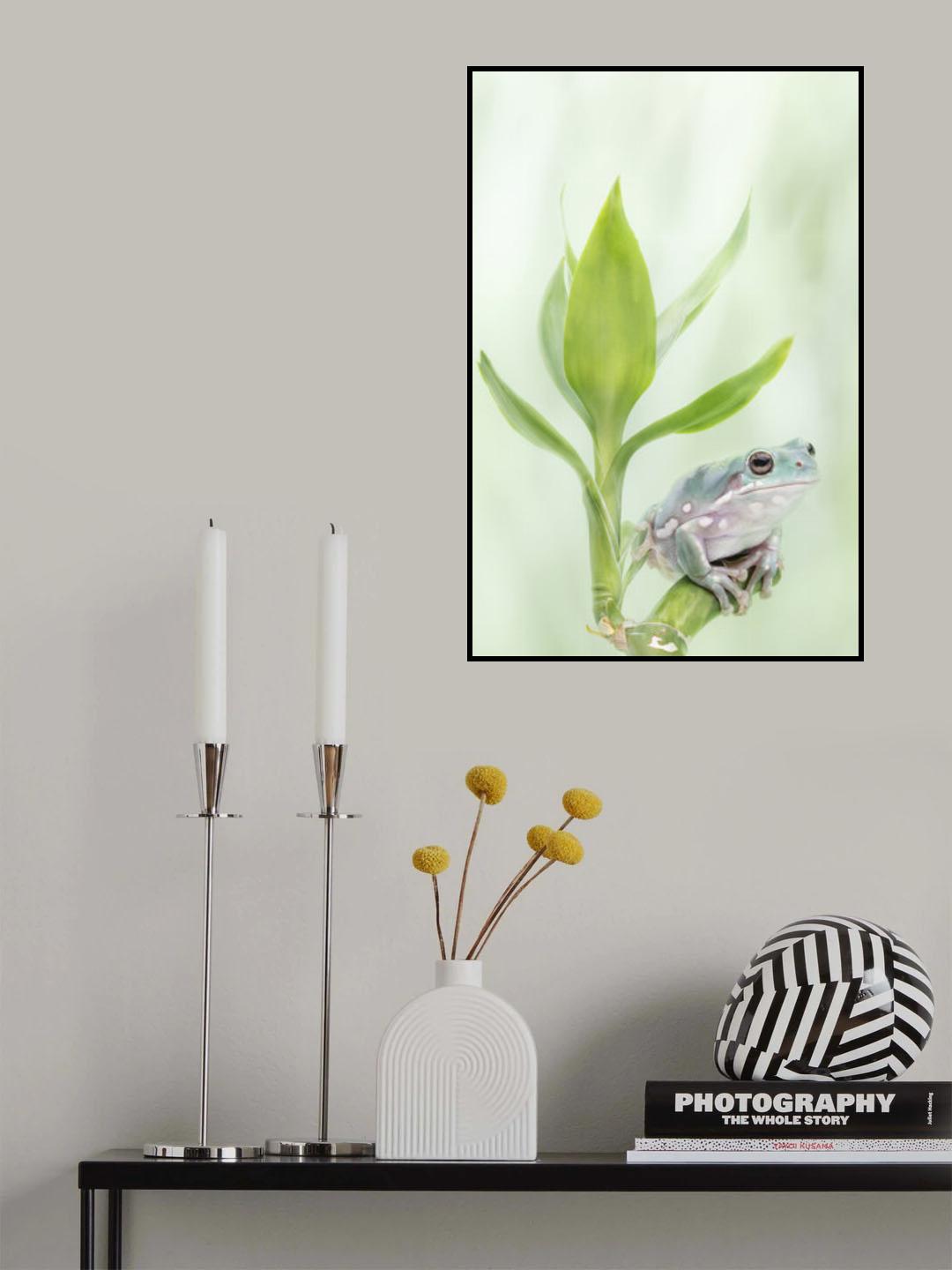 White's Tree Frog on a Lucky Bamboo Poster och Canvastavla