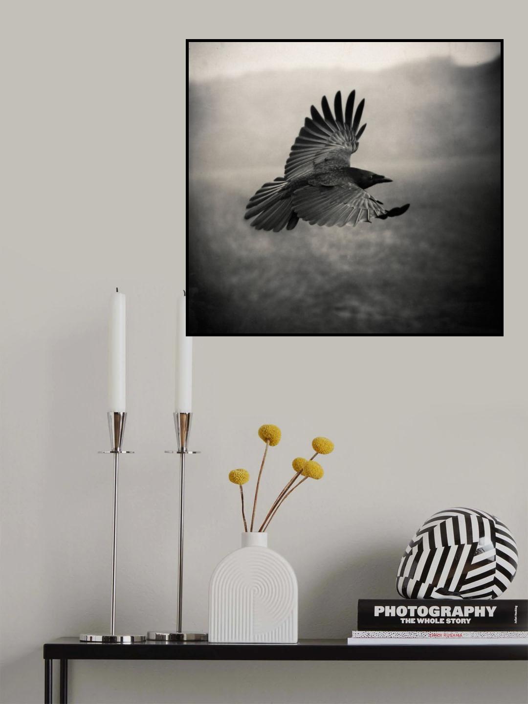 the Crow Poster och Canvastavla