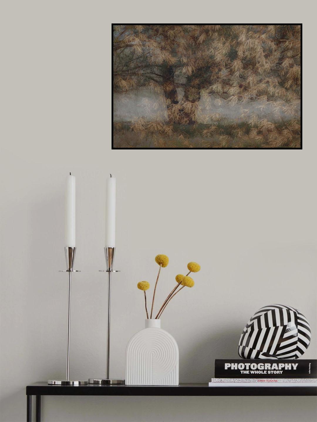 Pine tree Poster och Canvastavla