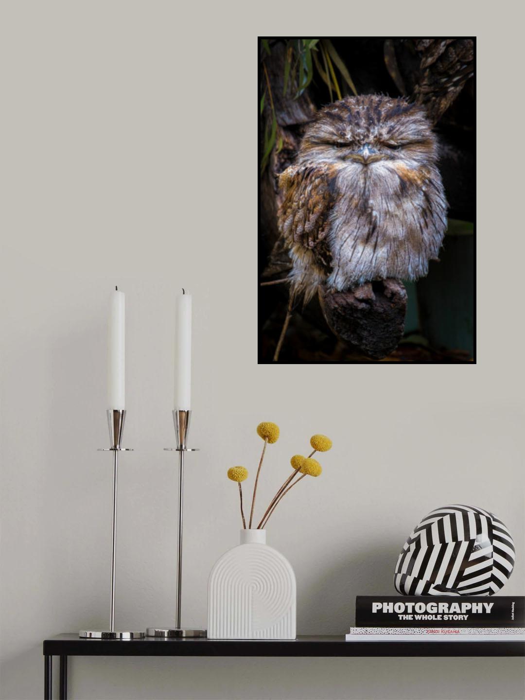 Grumpy Little Guy Poster och Canvastavla