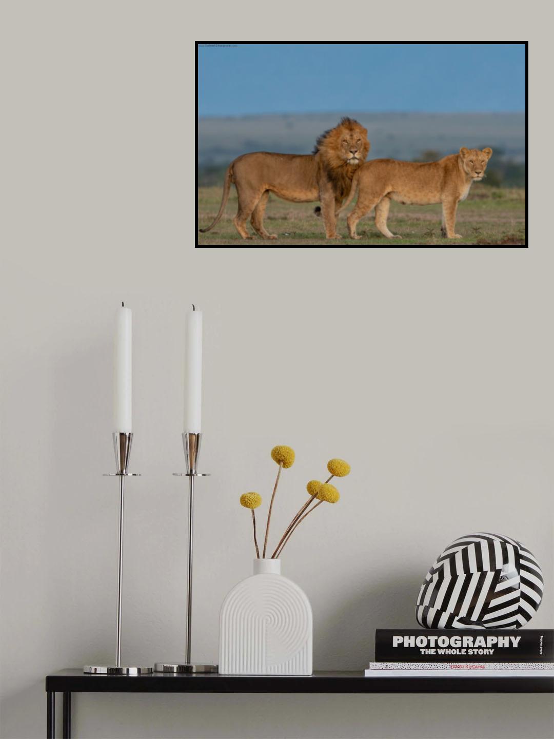 Royal Couple Poster och Canvastavla