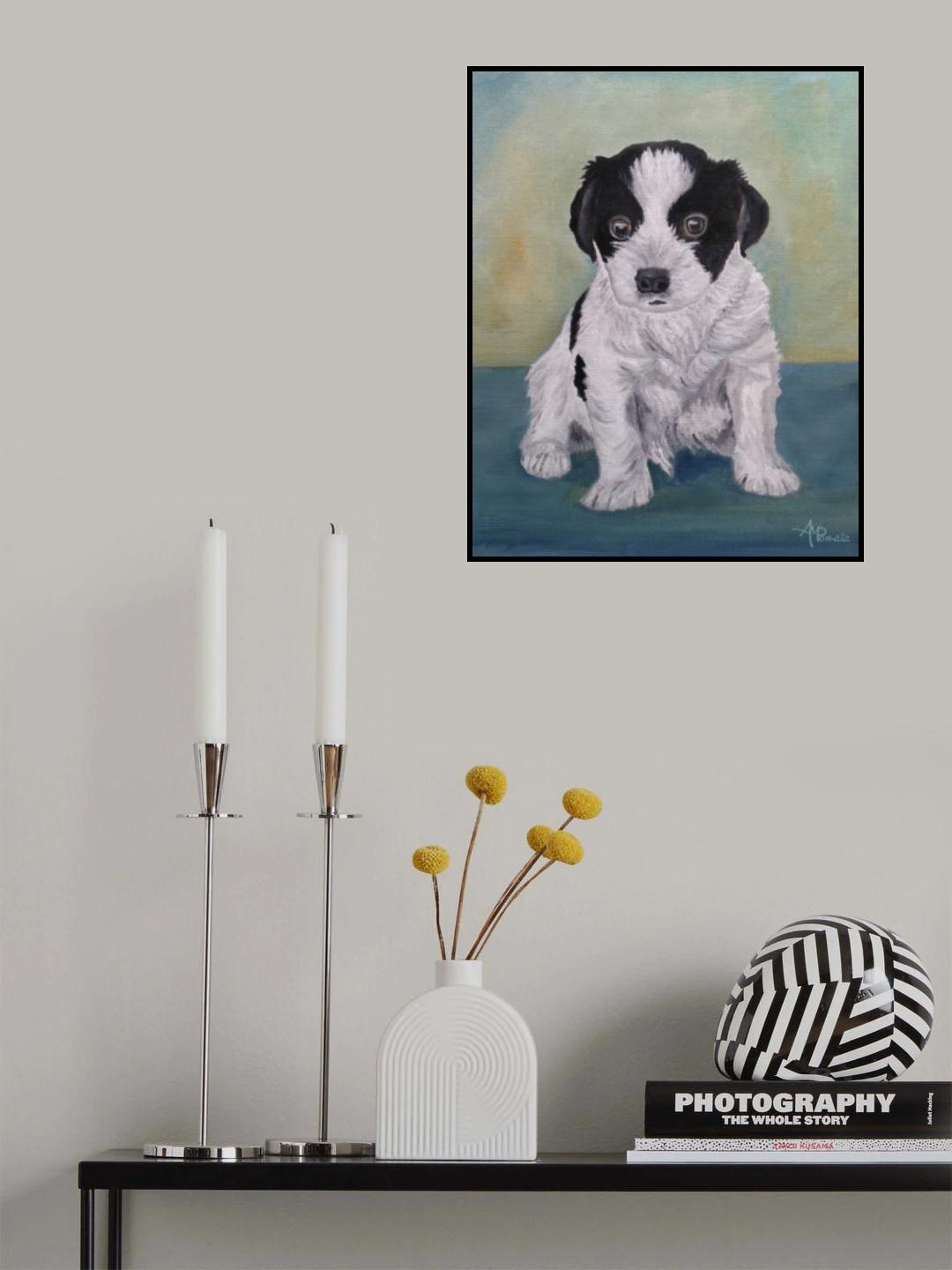 Border Collie Puppy Poster och Canvastavla