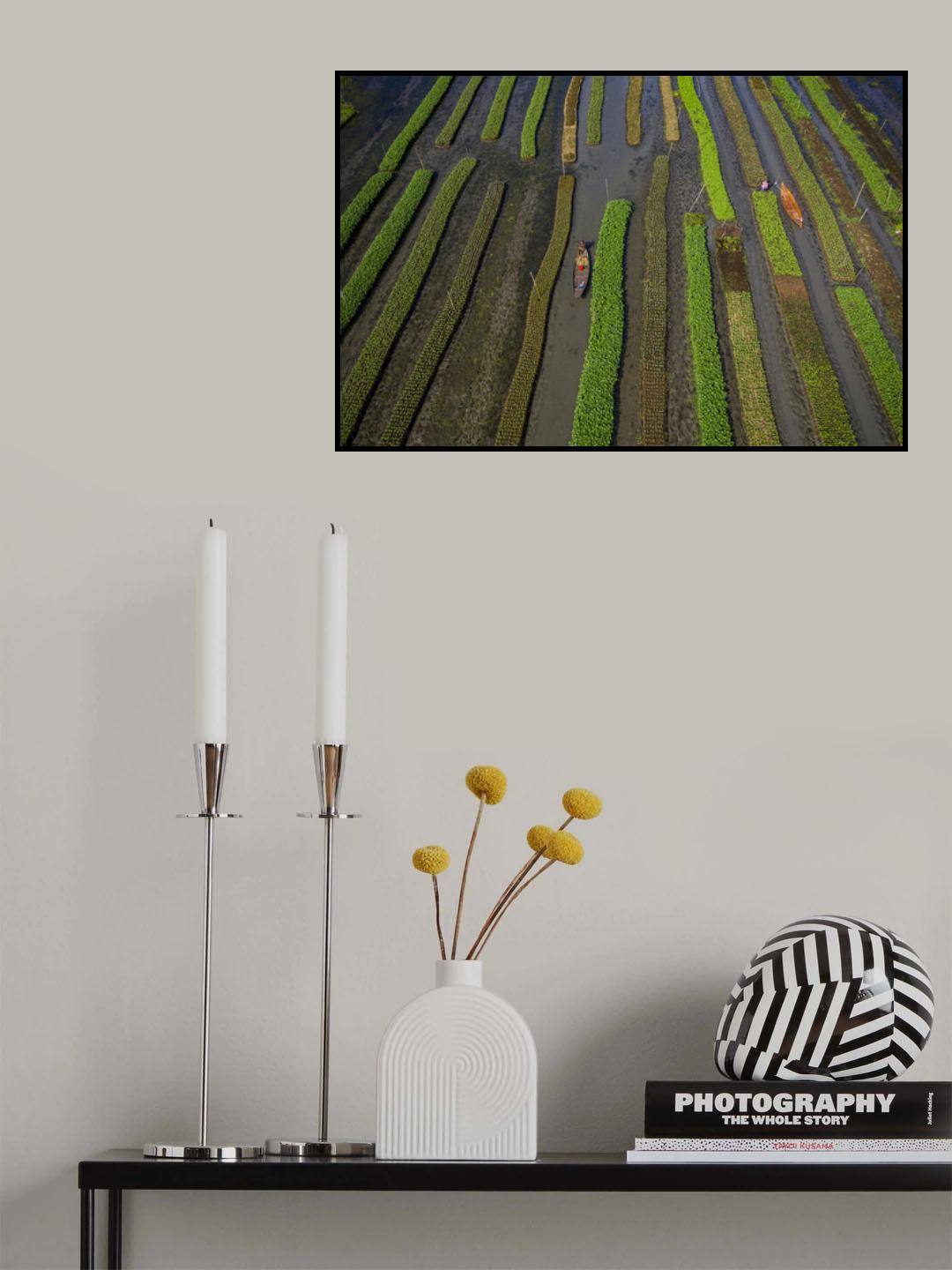 Traditional floating vegetable garden Poster och Canvastavla