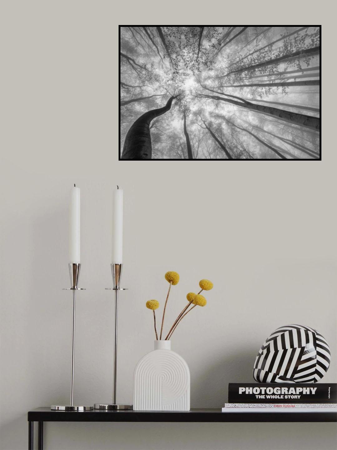 Spring crown of trees Poster och Canvastavla