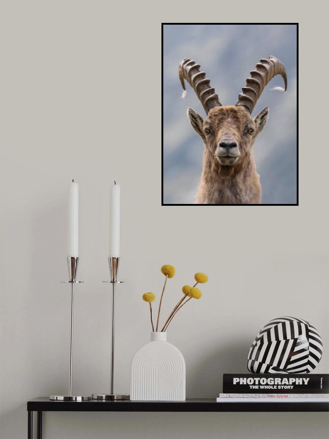 Eye to eye Poster och Canvastavla