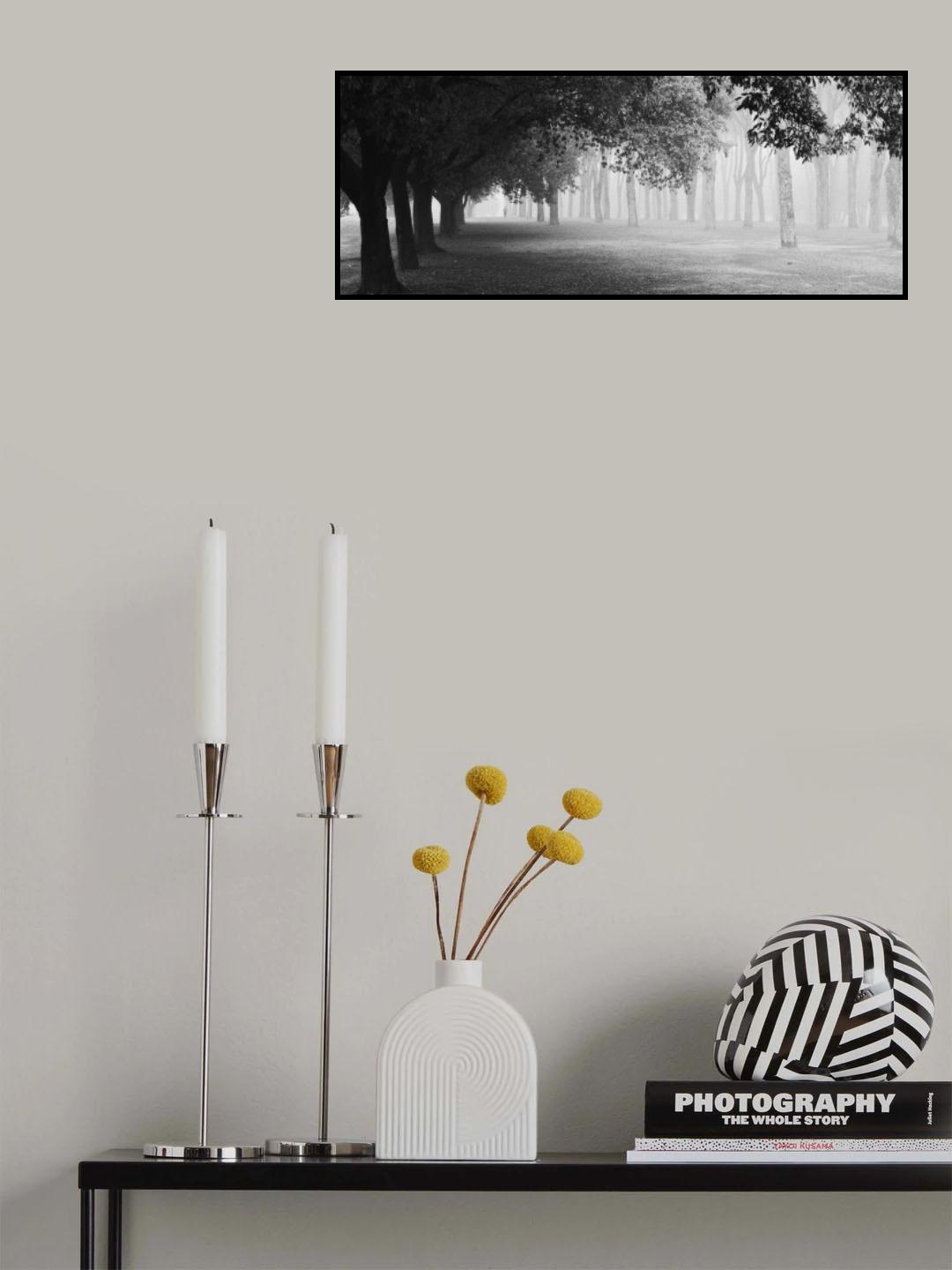 Morning fog Poster och Canvastavla
