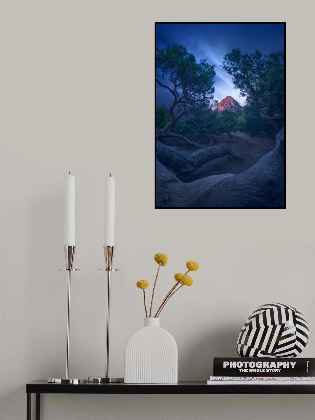 Evening light Poster och Canvastavla