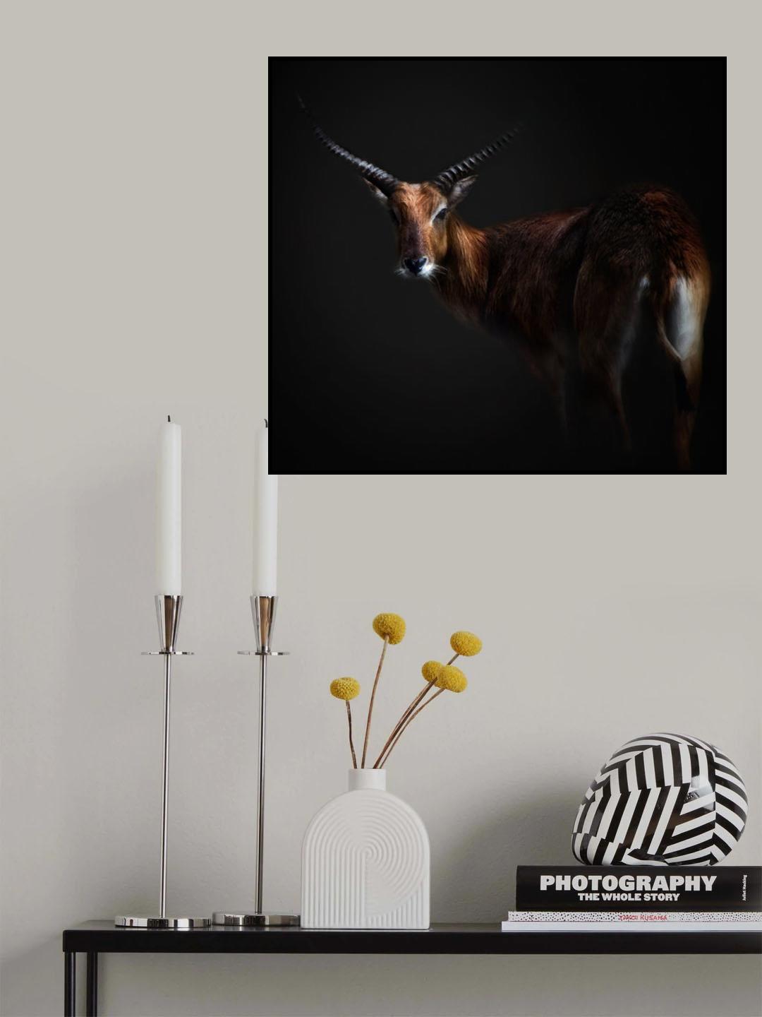 Antelope Lechwe Portrait Poster och Canvastavla