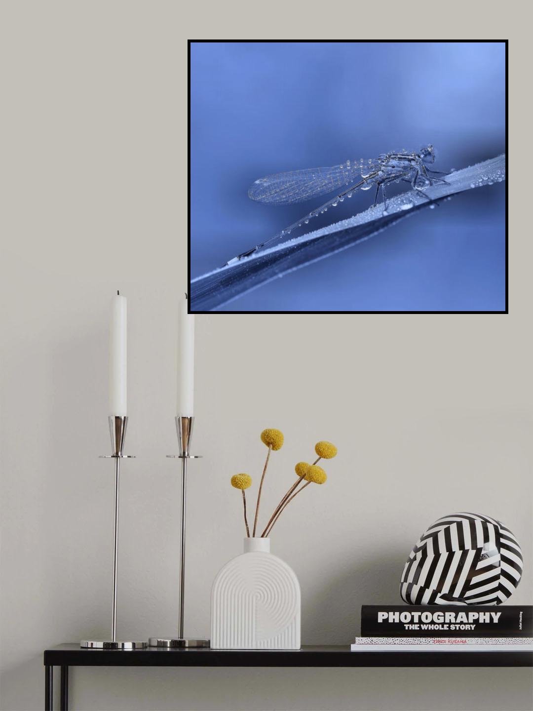 A rainy day... Poster och Canvastavla