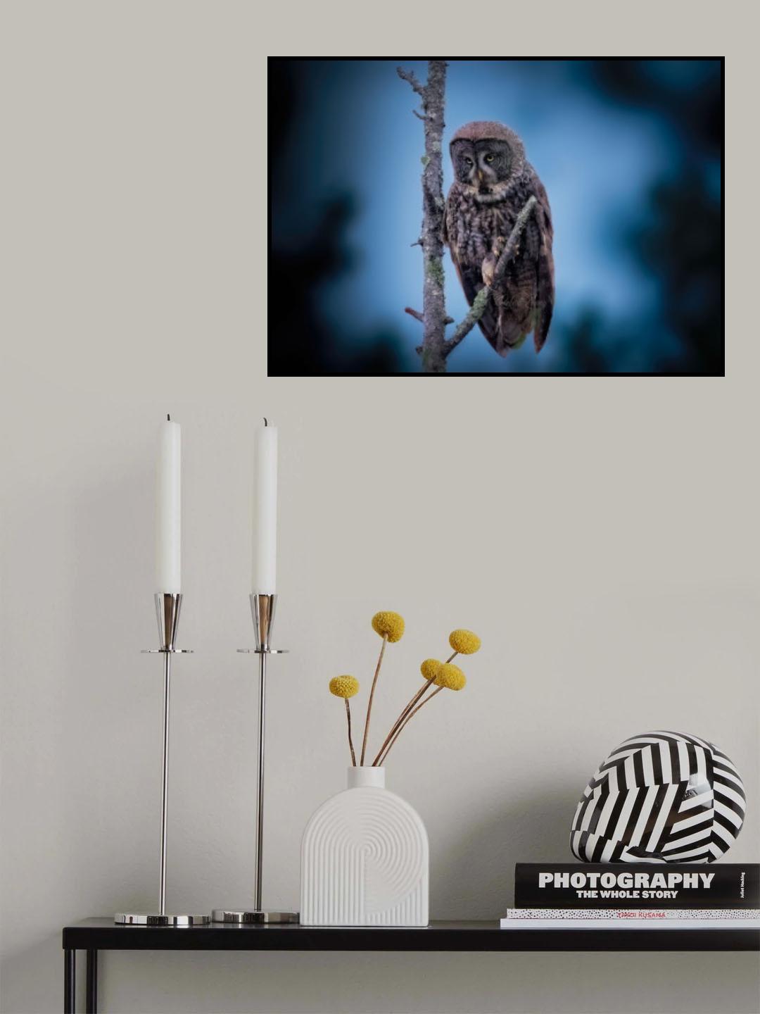 Grey Ghost in Dark Poster och Canvastavla