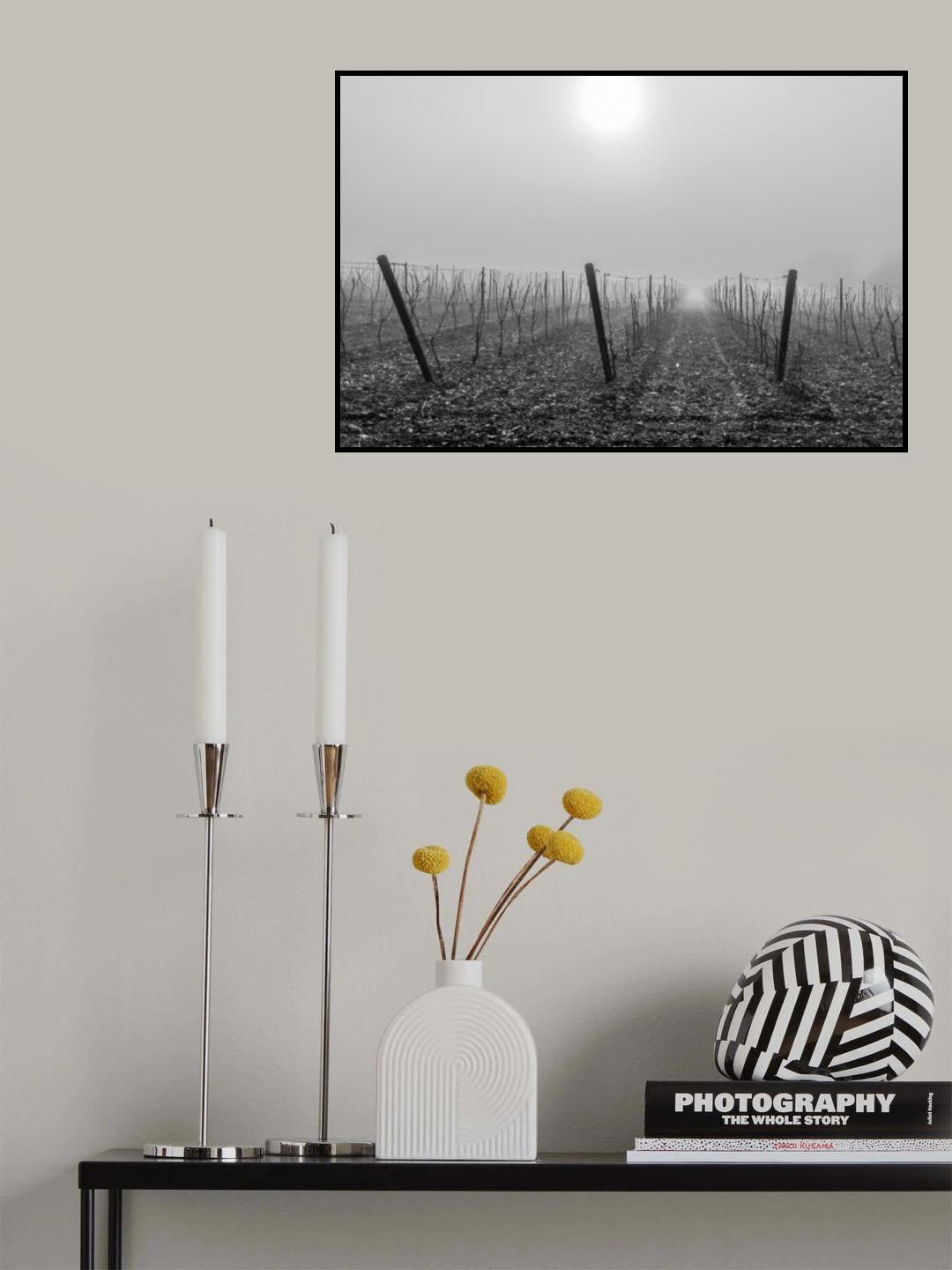 Vine perfume Poster och Canvastavla