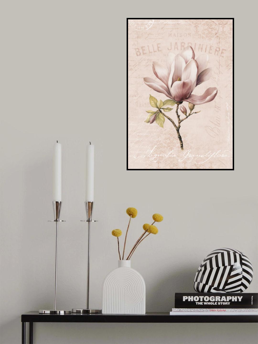 Magnolia Blush No2 Poster och Canvastavla