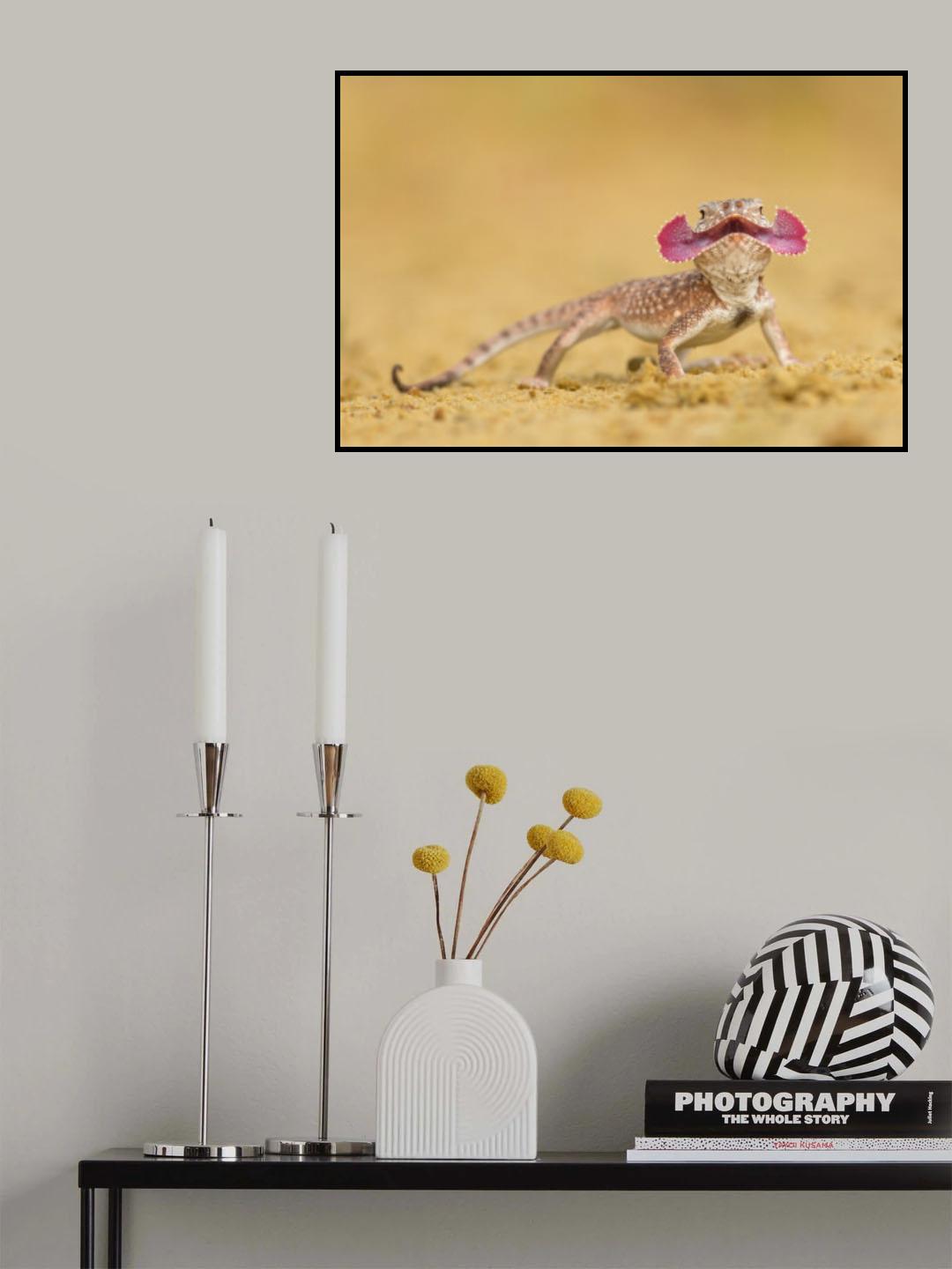 Secret toadhead agama Poster och Canvastavla