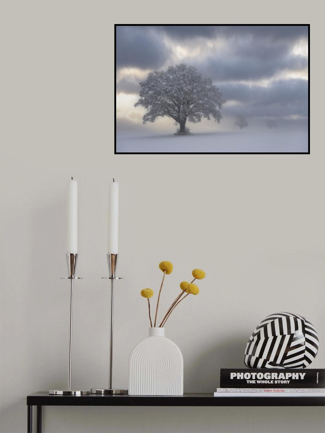 Cold morning Poster och Canvastavla