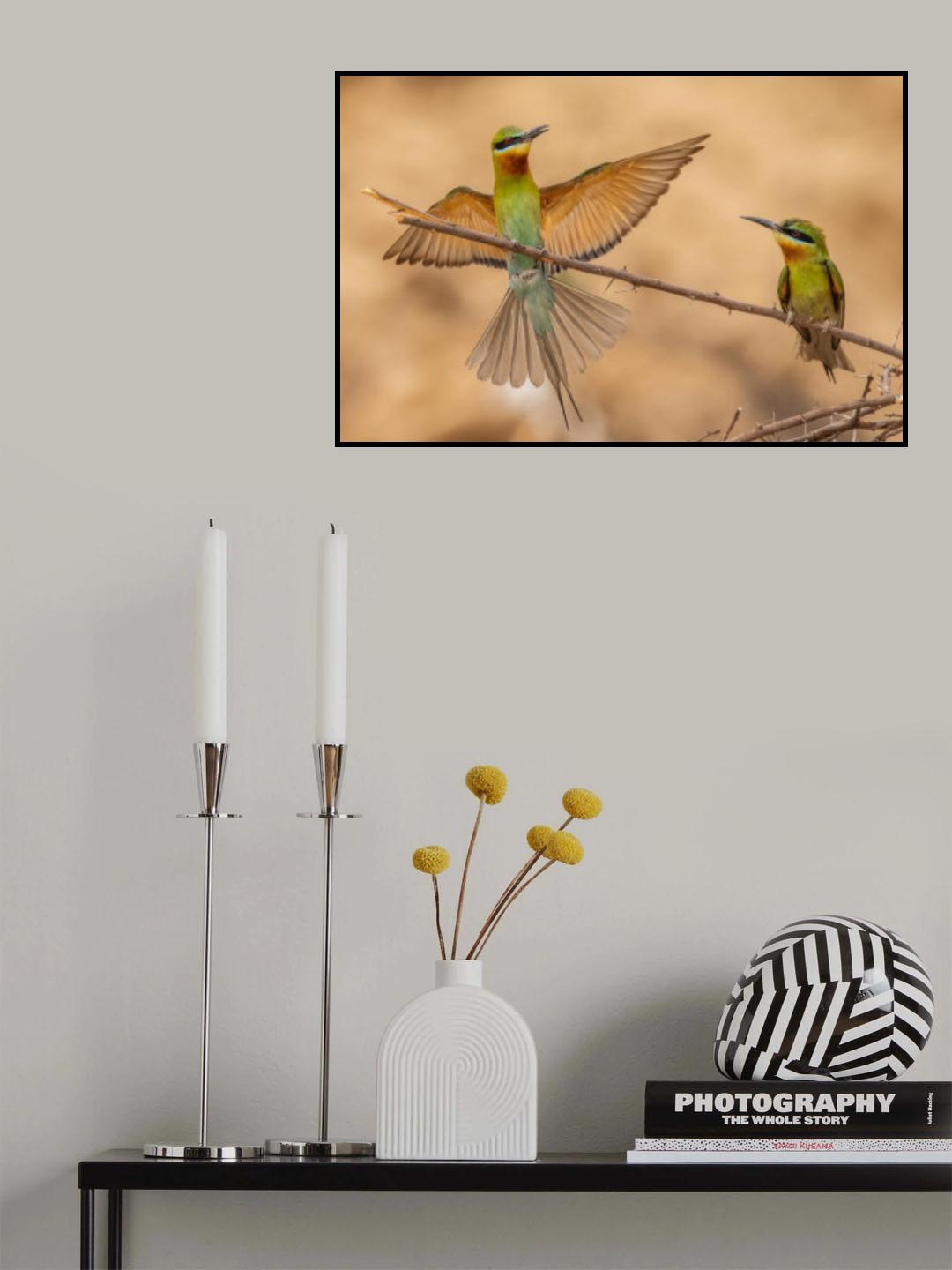 bee eaters landing Poster och Canvastavla