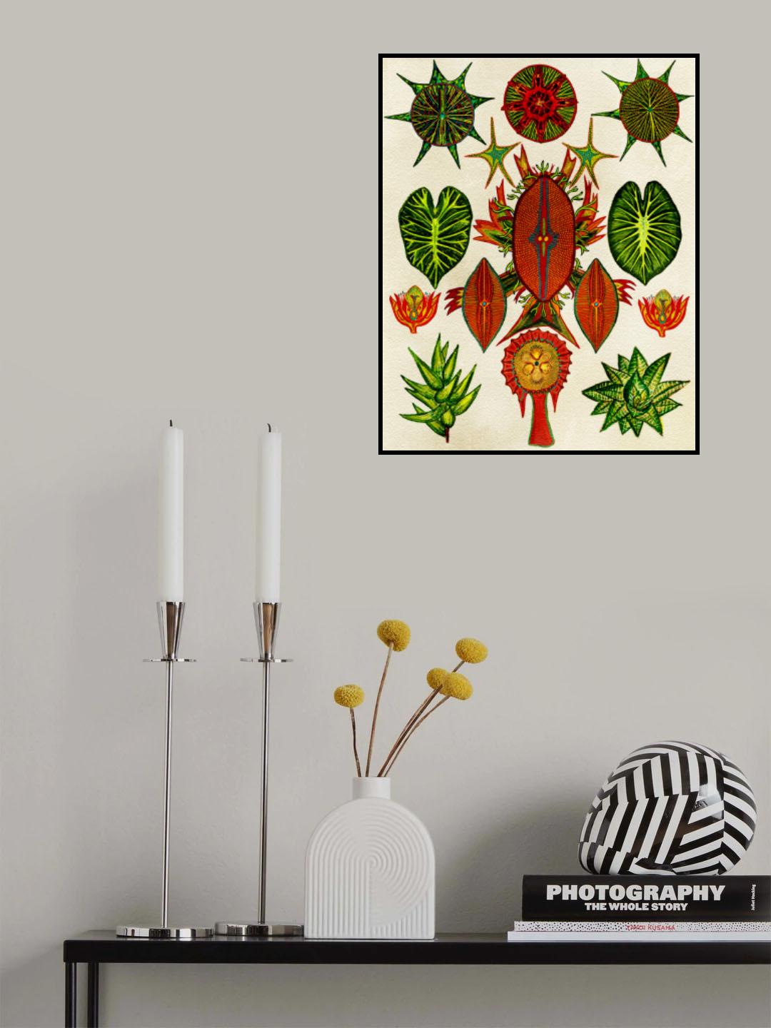 Botanical Invention Poster och Canvastavla