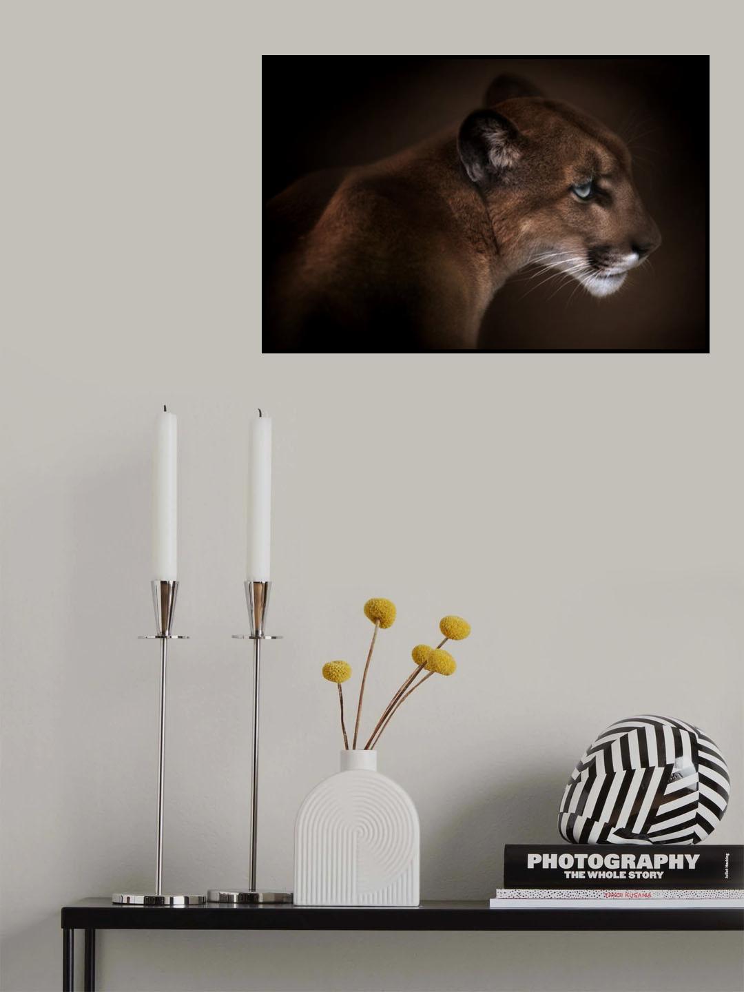 Puma Poster och Canvastavla