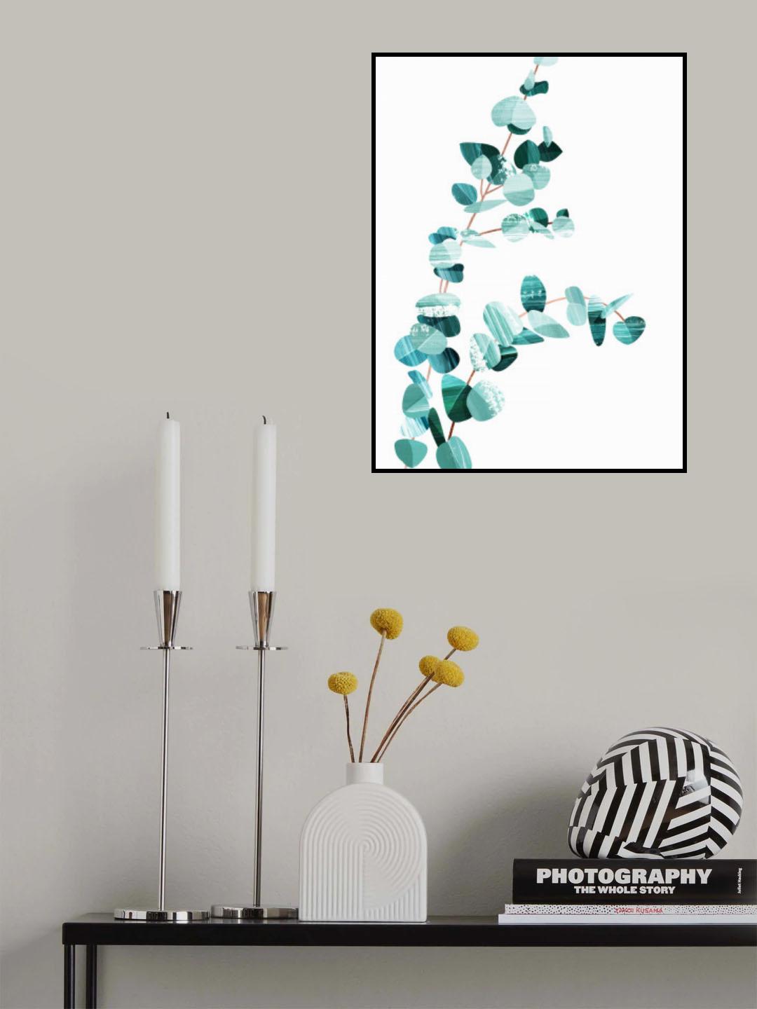Eucalyptus II Poster och Canvastavla