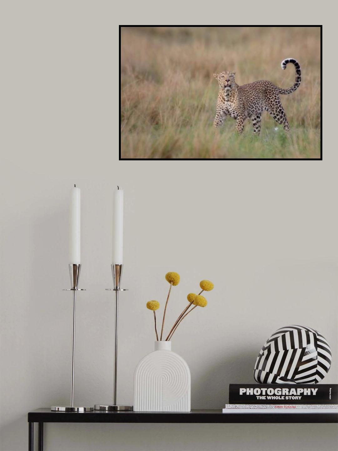 Leopard Poster och Canvastavla