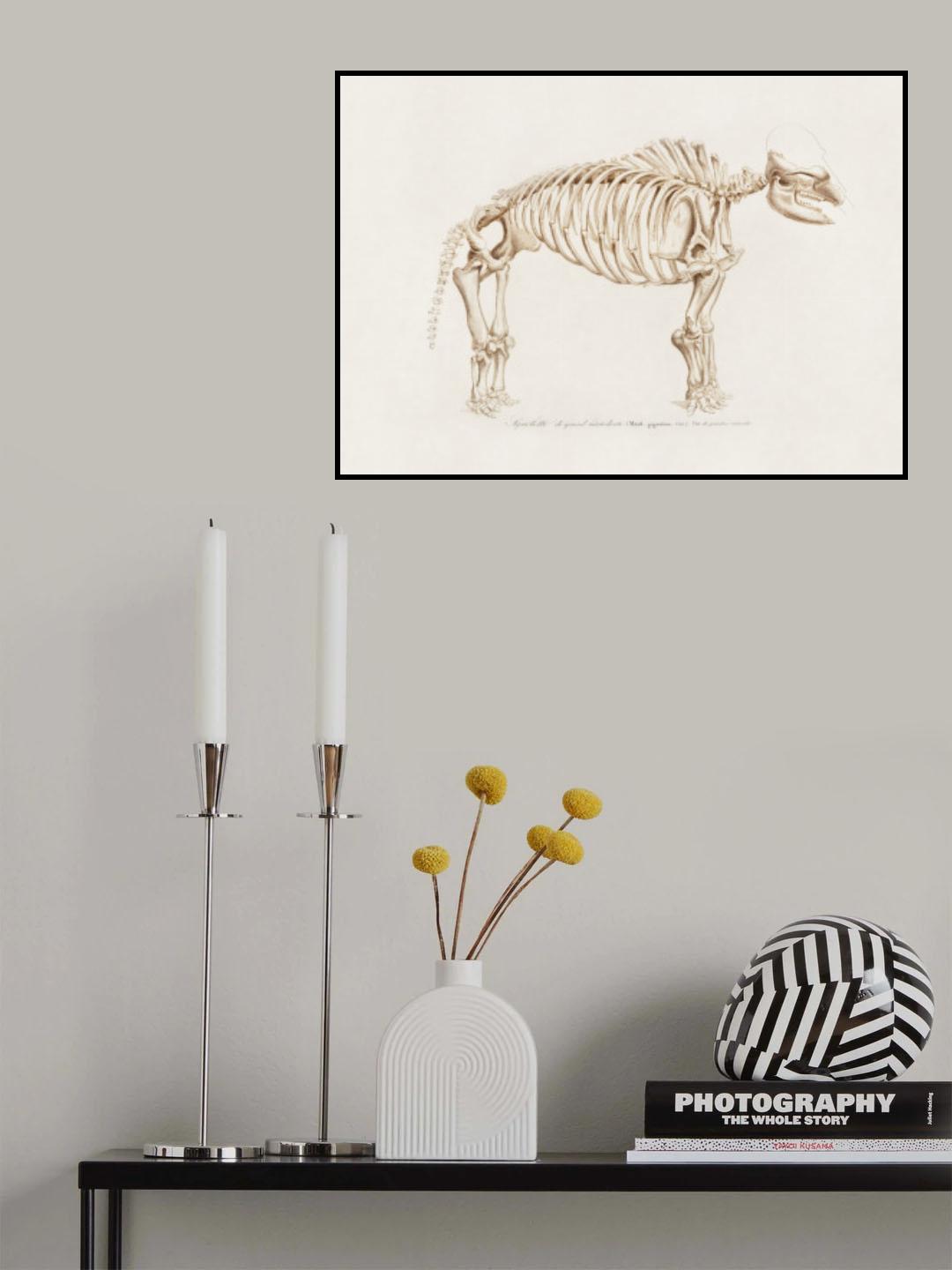 Mamoth (mammut) Poster och Canvastavla