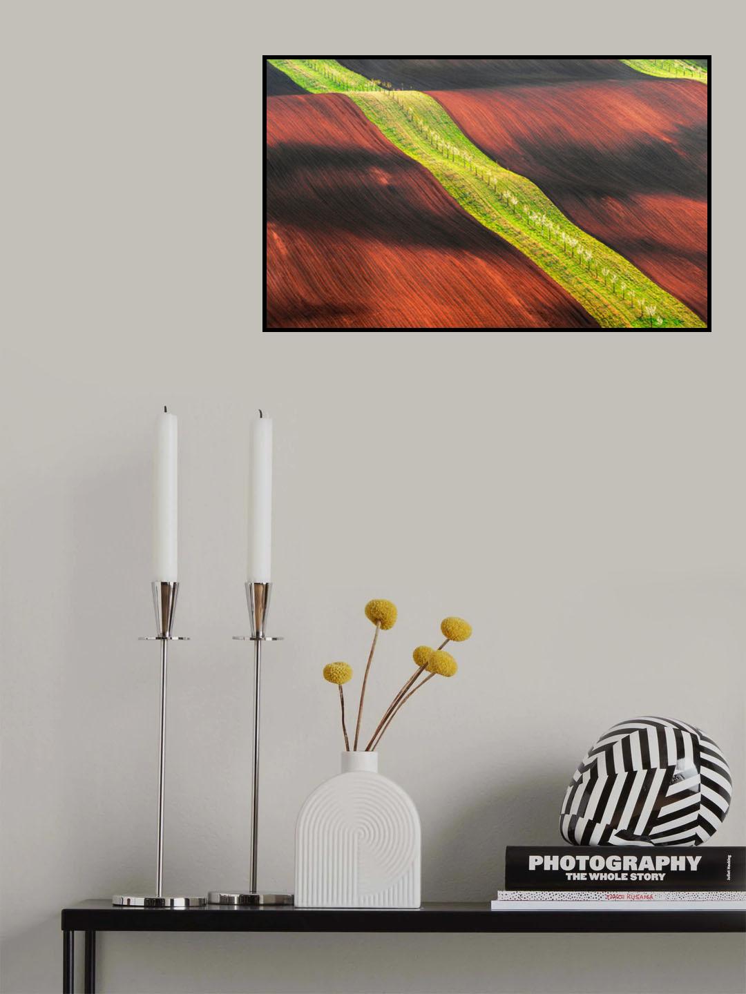 Waterslide Poster och Canvastavla