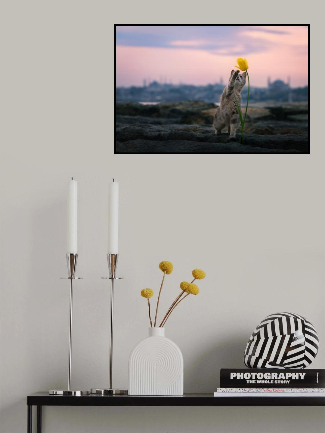 Pati Poster och Canvastavla