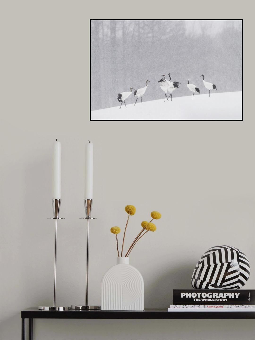 Japanese Cranes Poster och Canvastavla