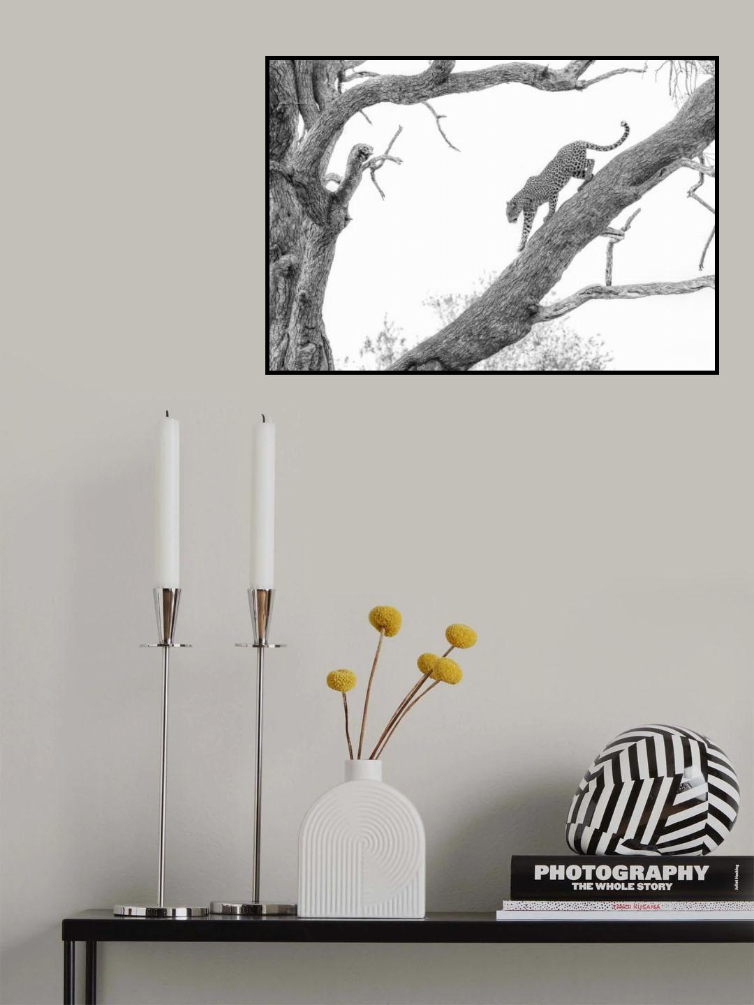 High key Leopard Poster och Canvastavla