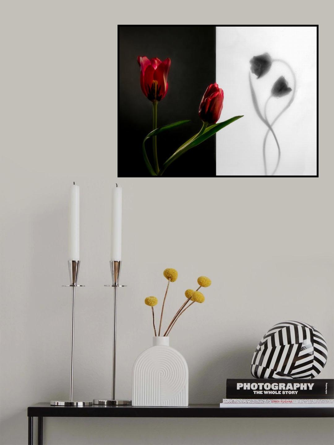 Tulip Poster och Canvastavla