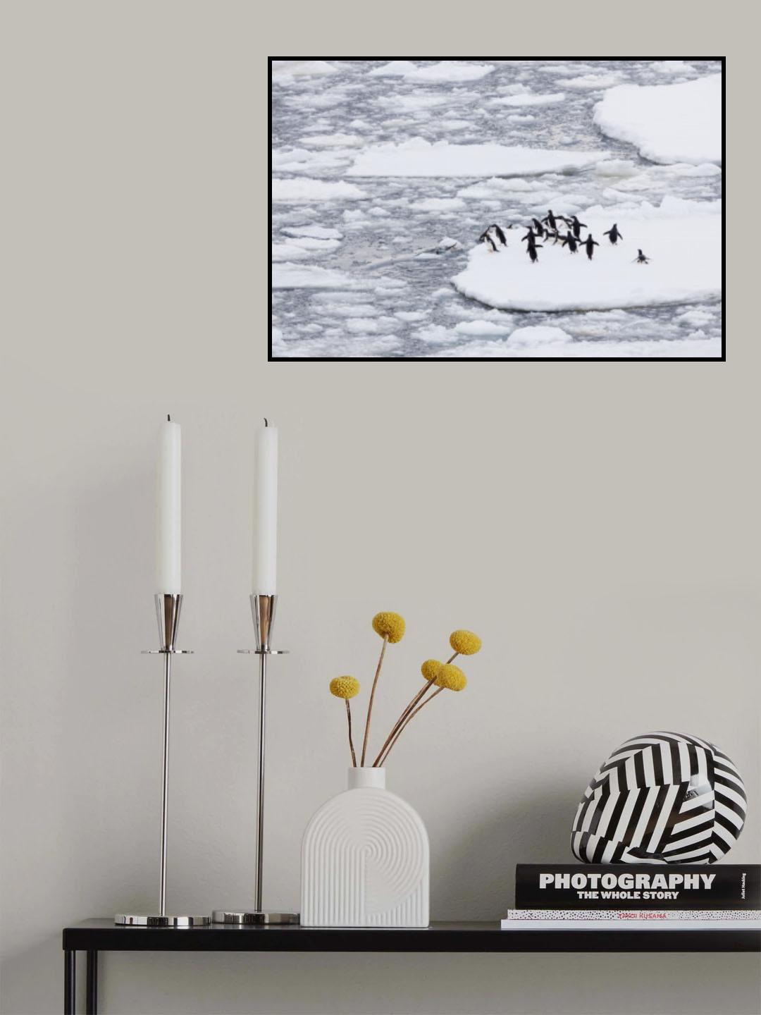 Rest is over Poster och Canvastavla