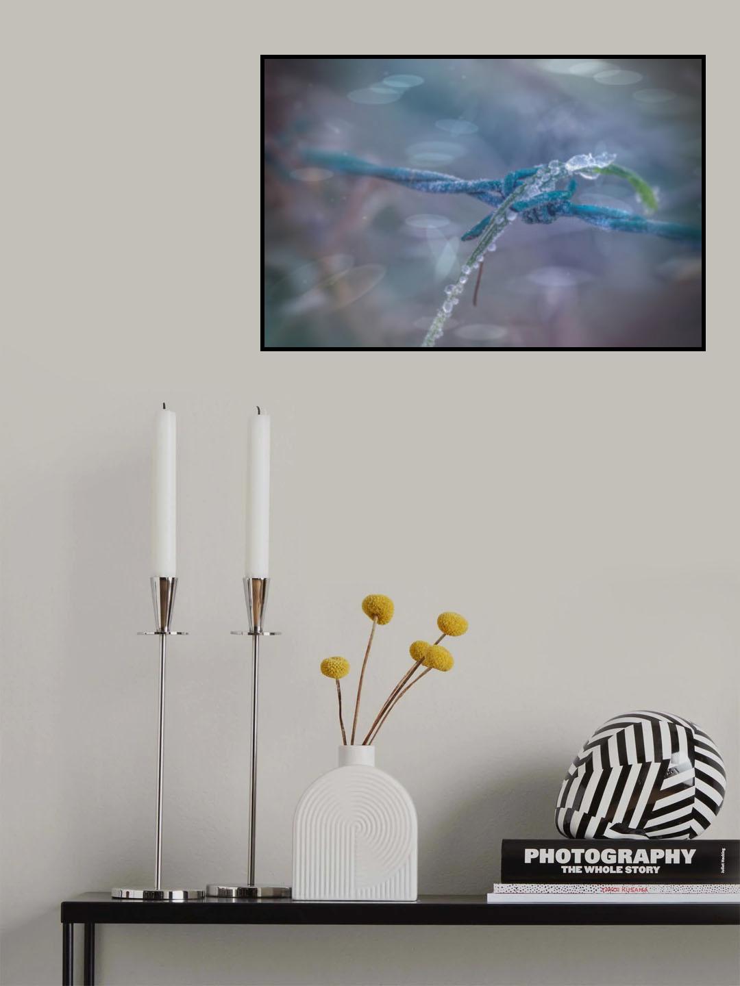 freezing Poster och Canvastavla