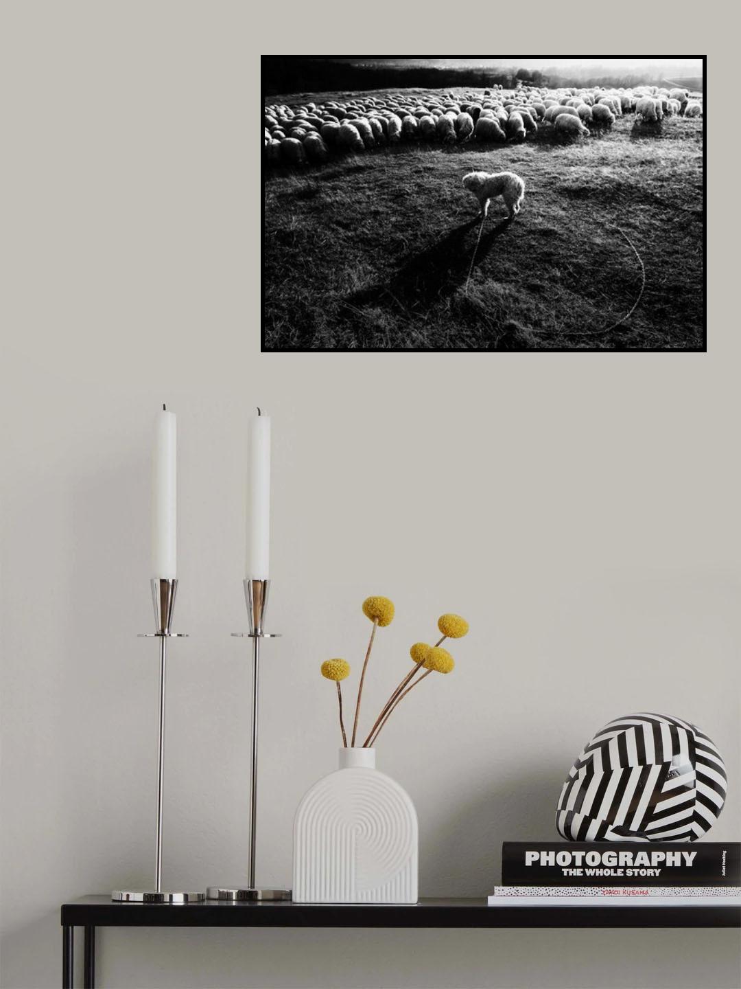 Puzzled Poster och Canvastavla