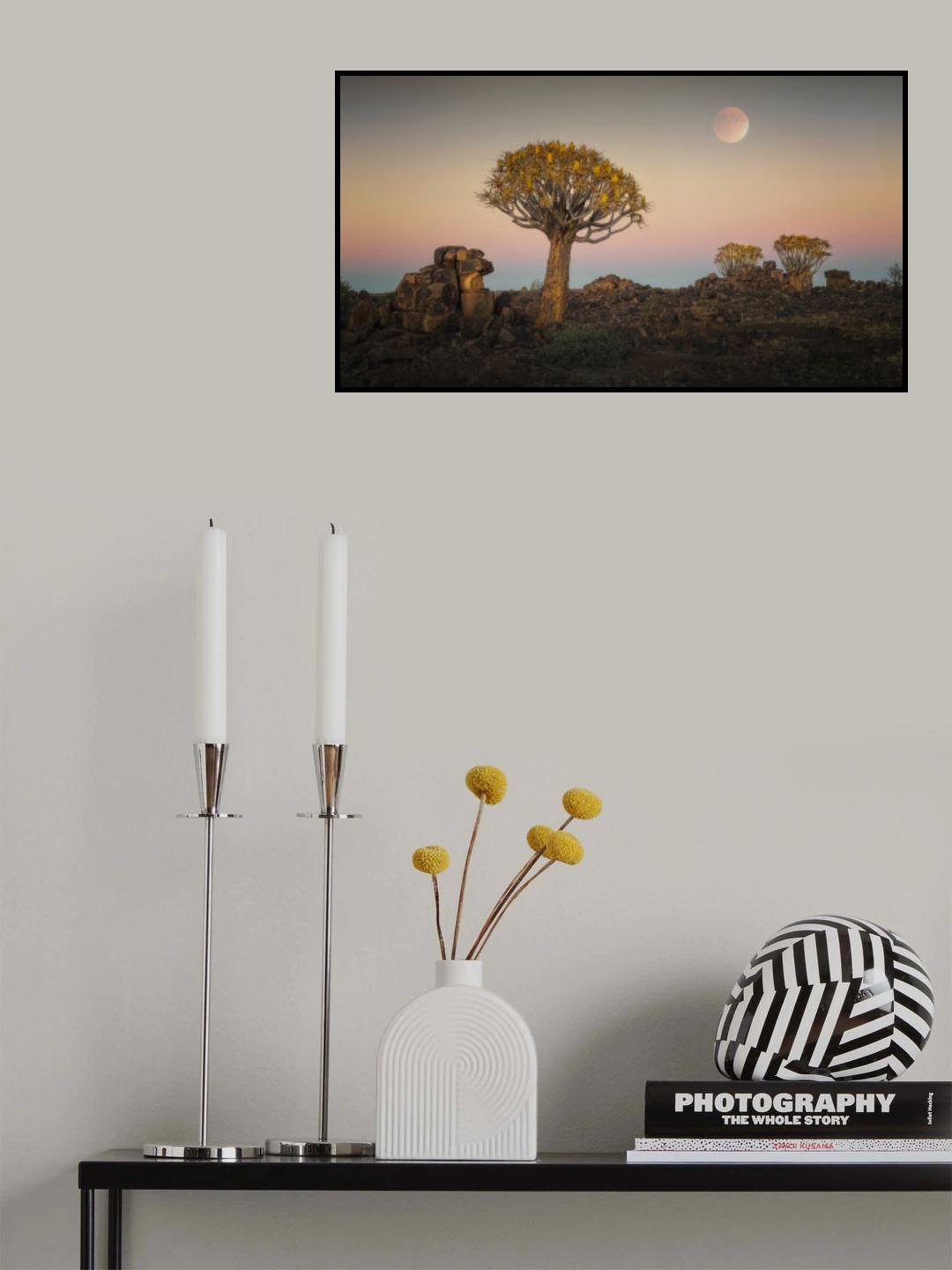 Quiver trees Poster och Canvastavla