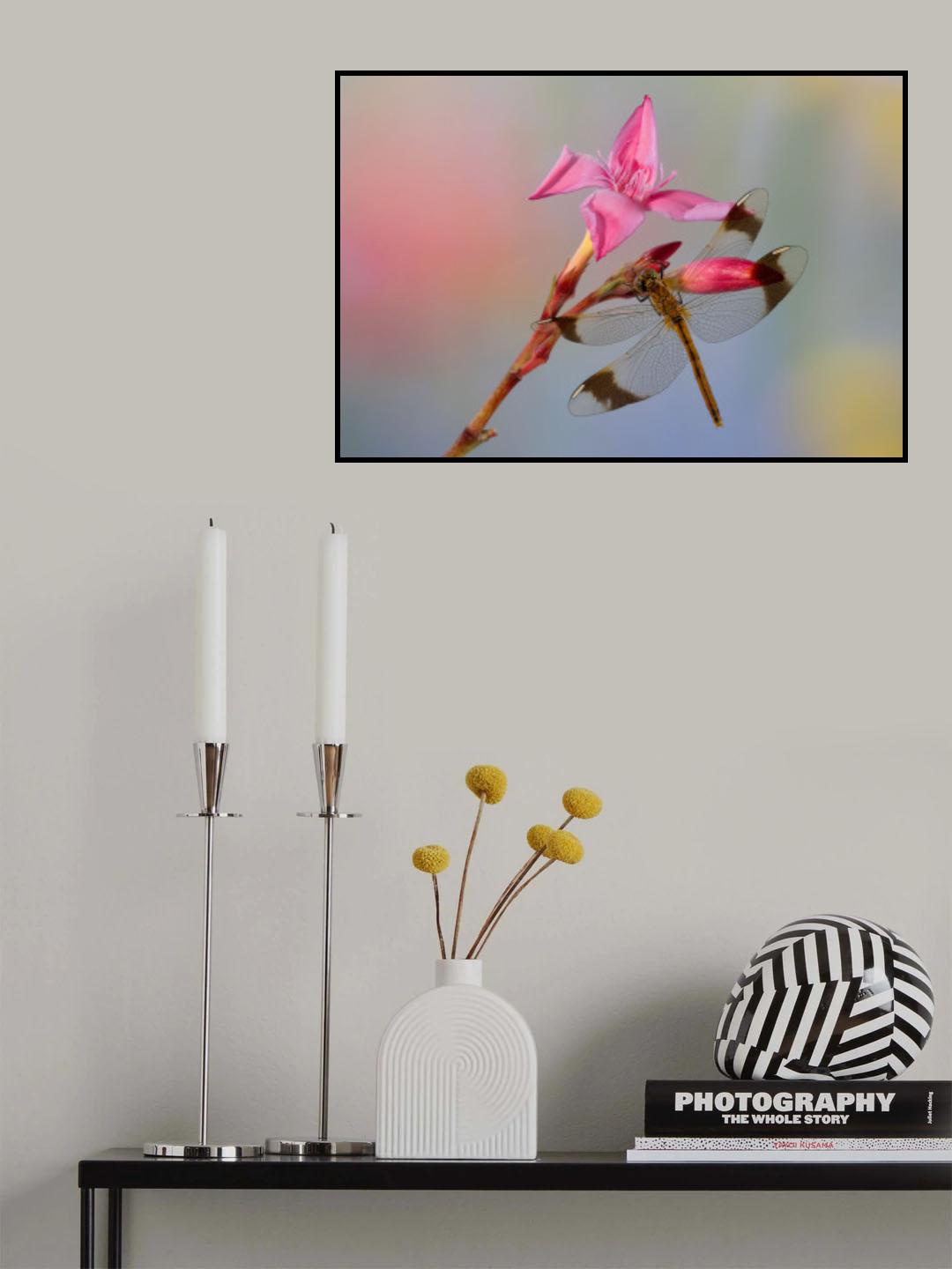 Dragonfly Poster och Canvastavla