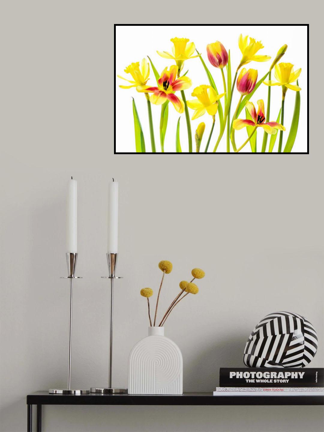 Vibrant Spring Poster och Canvastavla