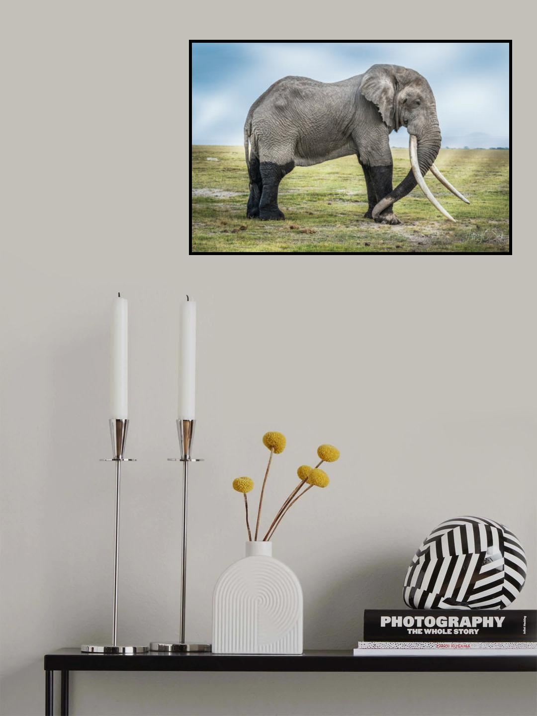 Tim - in memorial Poster och Canvastavla